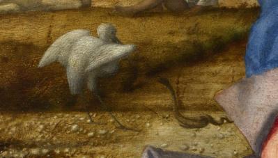 Giovanni Bellini. Madone des prés, détail
