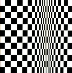 Bridget Riley. Mouvement en carrés (1961)