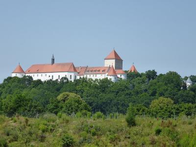 Vue actuelle du château de Wörth an der Danau