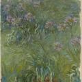 Claude Monet. Agapanthes (1914-26)