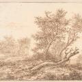 Cornelis Vroom. L'arbre mort (1601-1661)