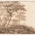 Cornelis Vroom. Quelques arbres près d'un mur (1601-1661)