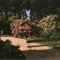 Frédéric Bazille. Les Lauriers Roses (La Terrasse à Méric) (1867)