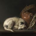 Gérard Dou. Chien endormi (1650)