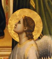 Giotto. Vierge d’Ognissanti, détail