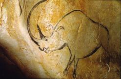 Grotte Chauvet. Rhinocéros (-31 000)