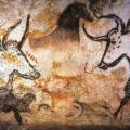 Grotte de Lascaux. Aurochs (v. -18 000)