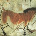 Grotte de Lascaux. Cheval (v. -18 000)