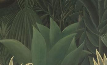 Henri Rousseau. La charmeuse de serpents, détail