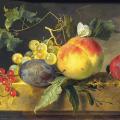 Jan van Huysum. Nature morte aux fruits (v. 1724)