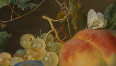 Jan van Huysum. Nature morte aux fruits, détail (v. 1724)