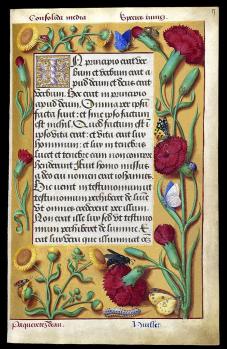Jean Bourdichon. Grandes Heures d'Anne de Bretagne, folio 17 recto (1503-08)