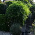 Villa Le Bosquet. L’escalier extérieur