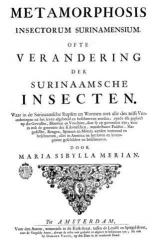 Maria Sibylla Merian. Metamorphosis insectorum surinamensium. Page de couverture (1705)