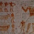 Mastaba de Iasen (v. -2670-2140)