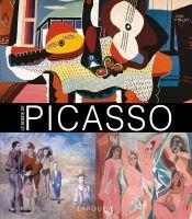 Picasso02