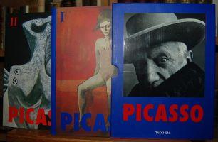 Picasso03