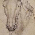 Pisanello. Étude de la tête d’un cheval (1437-38)