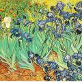 Van Gogh. Les iris, 1889