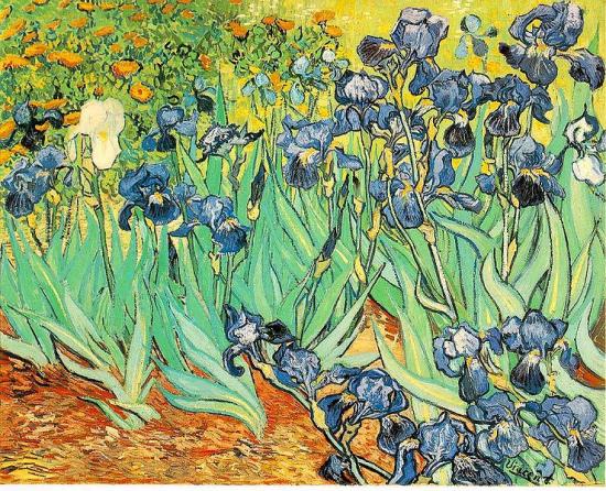 Van Gogh. Les iris, 1889