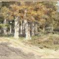 Rosa Bonheur. Chemin à l’orée d’un bois (1850-1899)