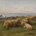 Rosa Bonheur. Moutons au bord de la mer (1865)