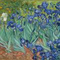 Vincent Van Gogh. Les iris (1889)