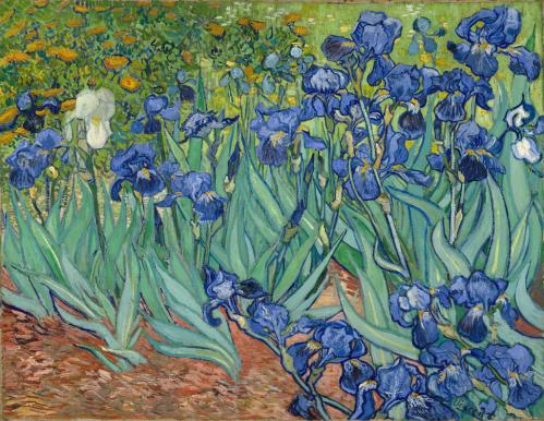 Vincent Van Gogh. Les iris (1889)