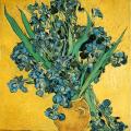 Vincent Van Gogh. Les iris (1890)