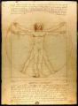 Vinci. L'homme de Vitruve (1485-1490)